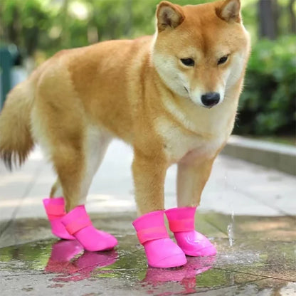 bottines colorées pour chien, design tendance et imperméable