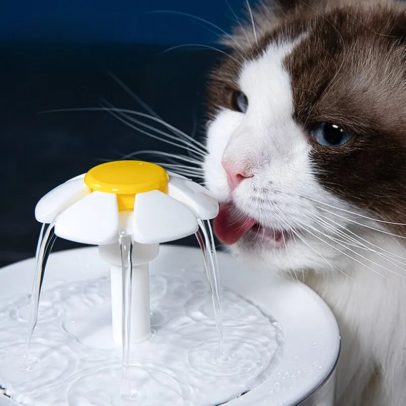 Fontaine à eau silencieuse pour animaux