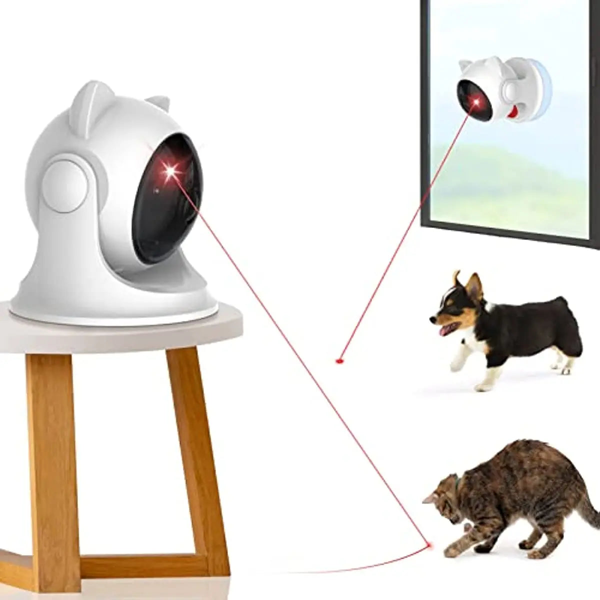 Jouet laser interactif automatique pour chats