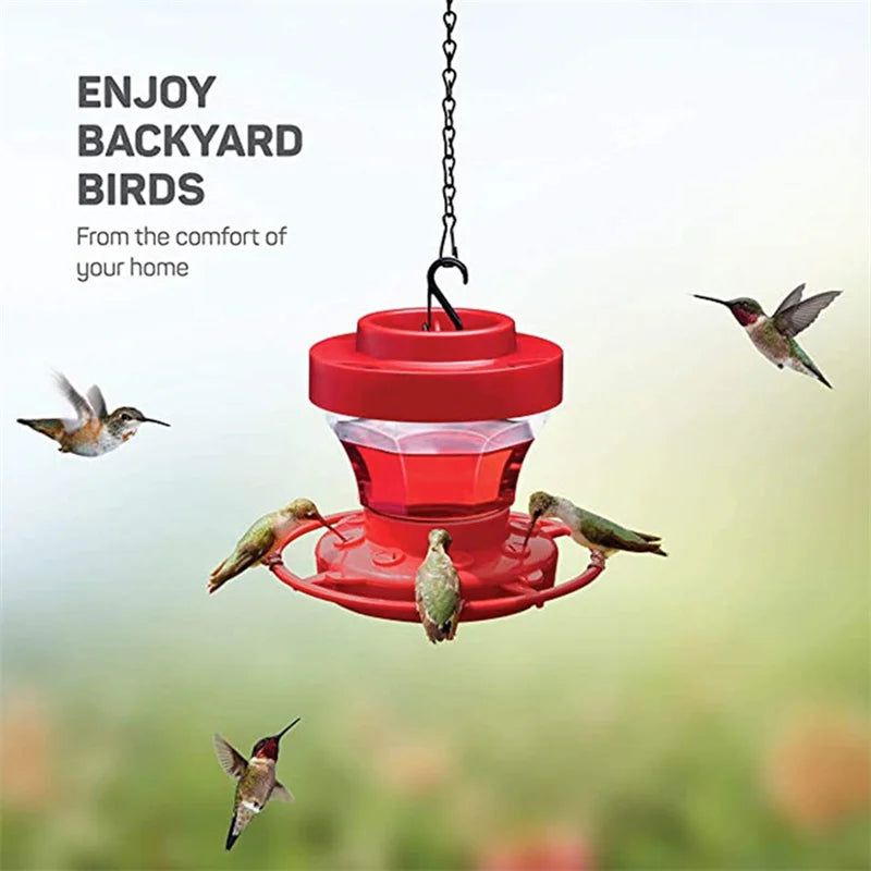 Mangeoire pour colibris avec protection anti-fourmis