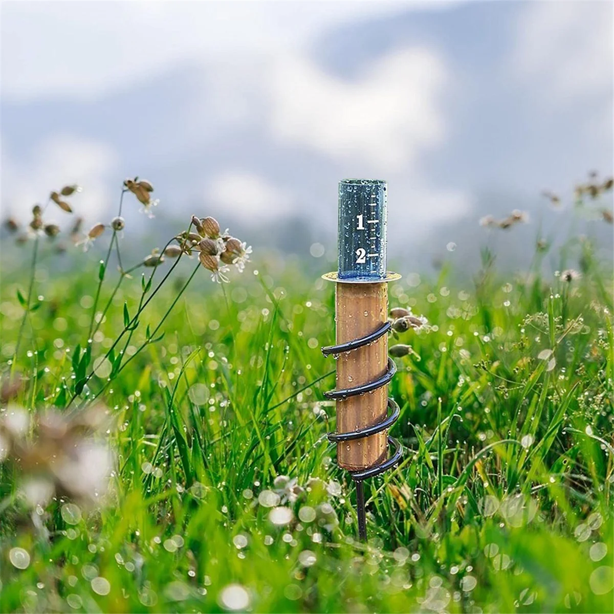 Outil de mesure de la pluie pour jardin et pelouse