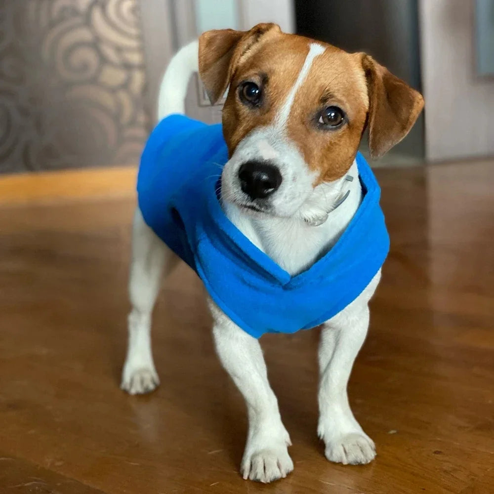 veste chaude en polaire pour chien de petite taille