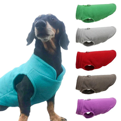 veste en polaire douce pour chien avec D-ring intégré